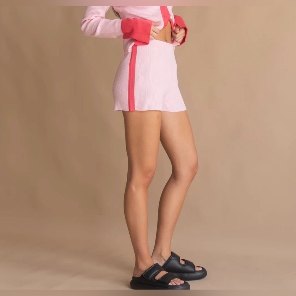 NWT new large Anthropologie araminta James Josefine Pink stripe knit Shorts